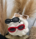 Fashion sunglasses