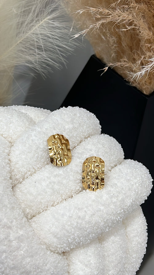 Fashion earrings