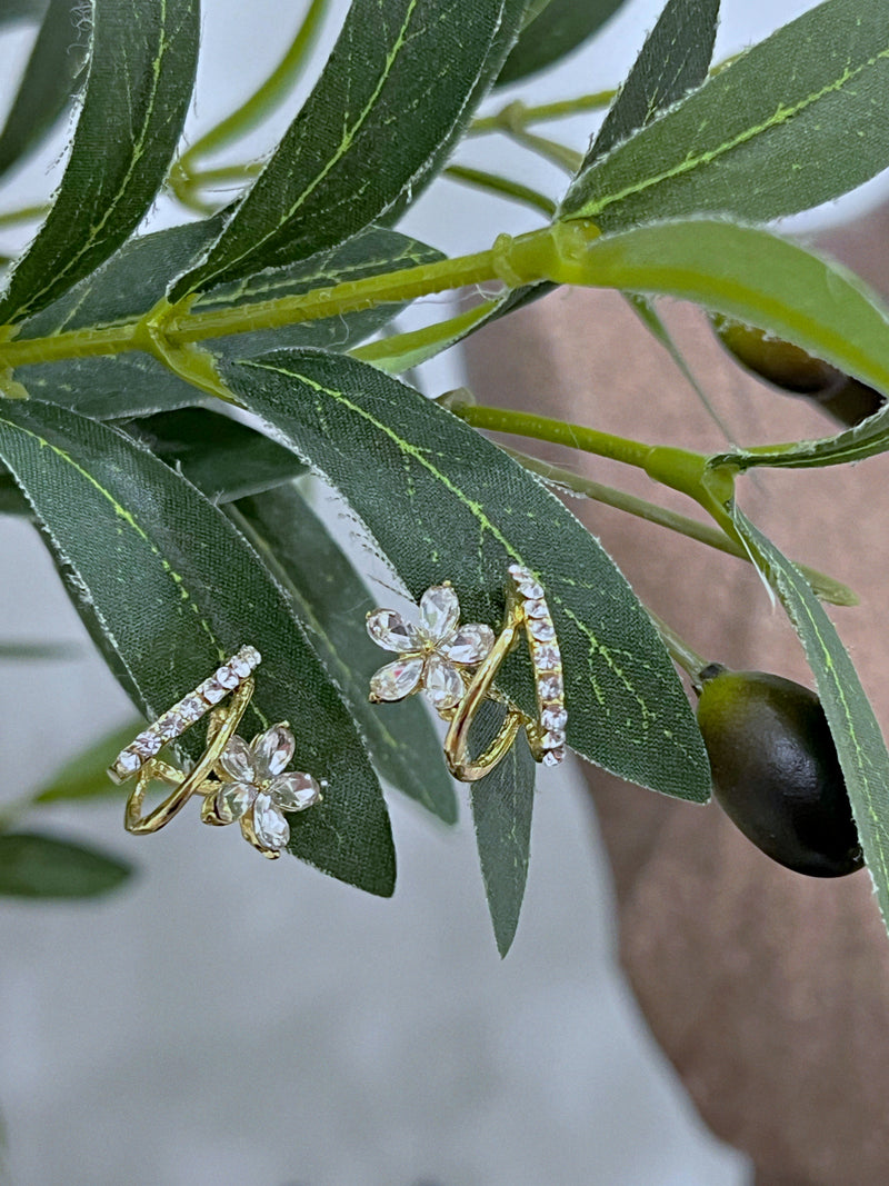 Elegant earrings